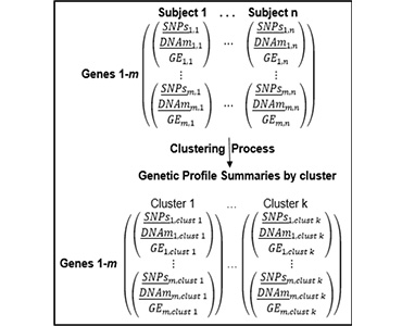 Vector in Partitions (VIP)